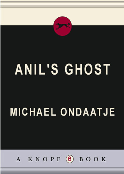 Cover image for book Anil's Ghost
