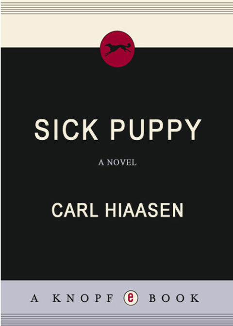 Cover image for book Sick Puppy