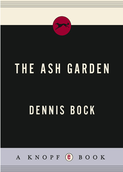 Cover image for book The Ash Garden