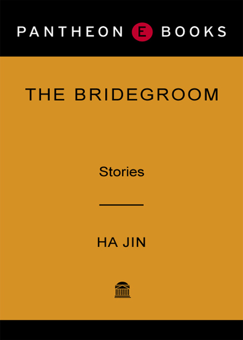 Cover image for book The Bridegroom
