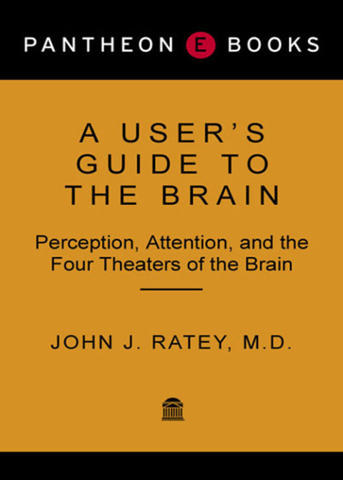 Cover image for book A User's Guide to the Brain