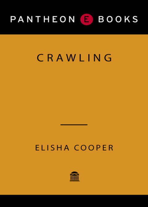 Cover image for book Crawling