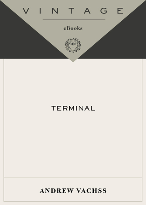 Cover image for book Terminal