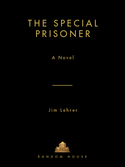 Cover image for book The Special Prisoner