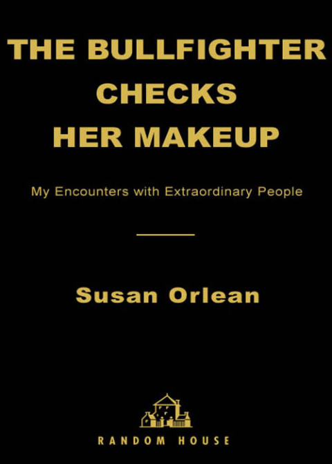 Cover image for book The Bullfighter Checks Her Makeup