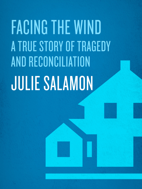 Cover image for book Facing the Wind