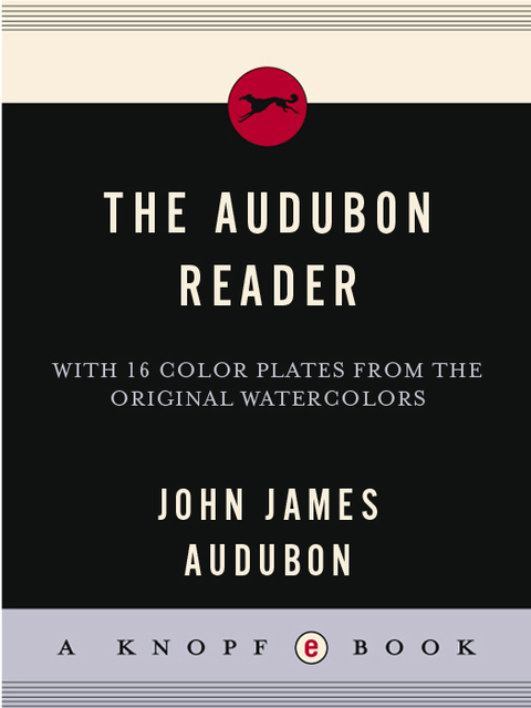 Cover image for book The Audubon Reader