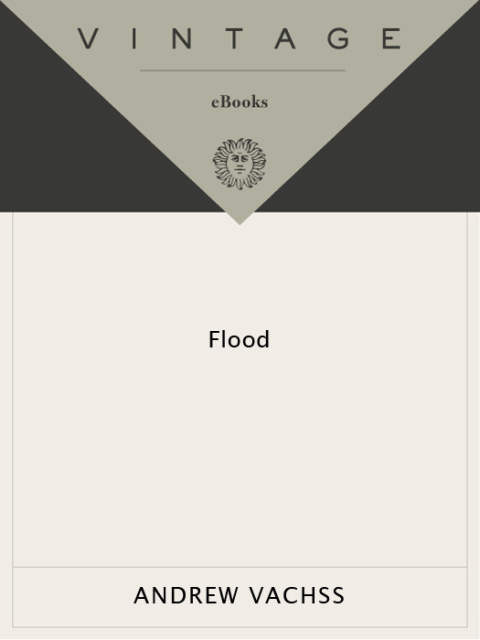 Cover image for book Flood