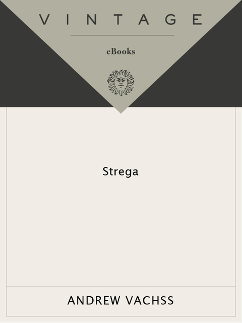 Cover image for book Strega