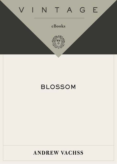 Cover image for book Blossom