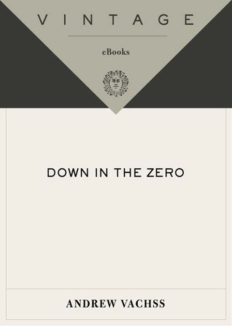 Cover image for book Down in the Zero