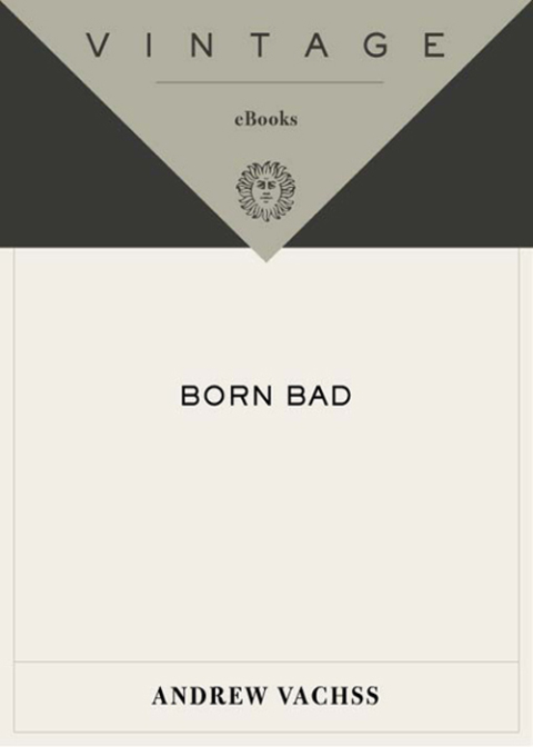 Cover image for book Born Bad