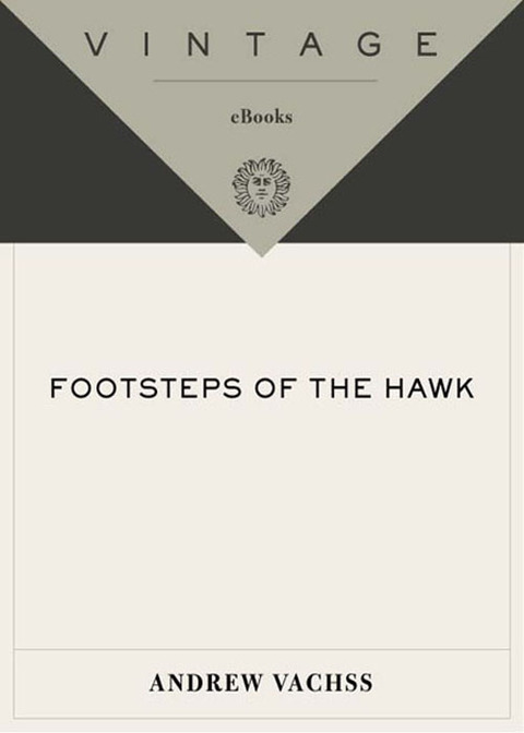 Cover image for book Footsteps of the Hawk
