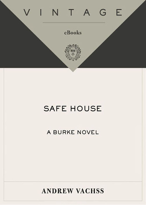 Cover image for book Safe House
