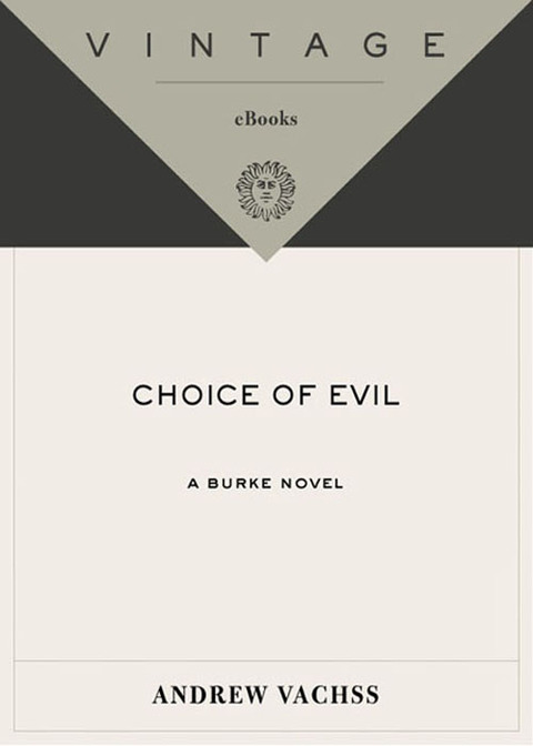 Cover image for book Choice of Evil