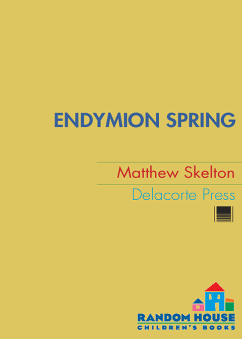 Cover image for book Endymion Spring