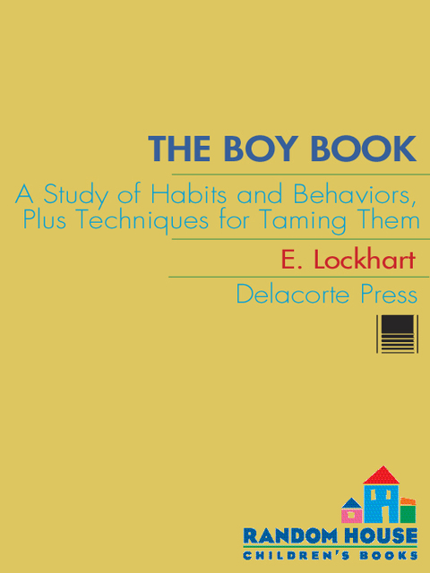 Cover image for book The Boy Book