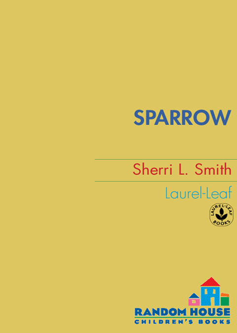 Cover image for book Sparrow