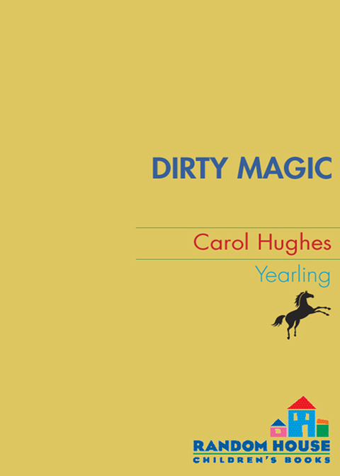 Cover image for book Dirty Magic