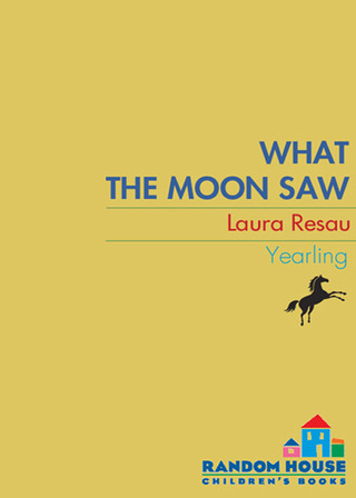 What the Moon Saw
