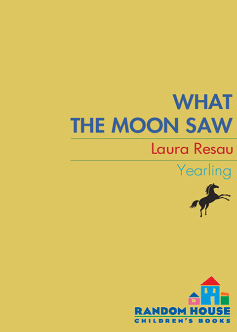 Cover image for book What the Moon Saw
