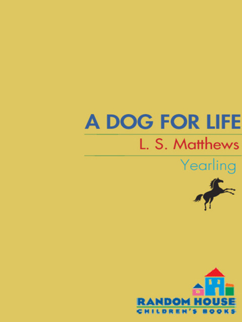 Cover image for book A Dog for Life