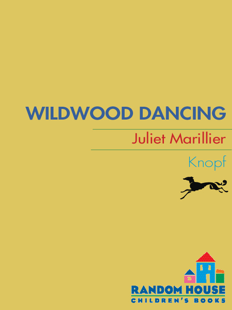 Cover image for book Wildwood Dancing