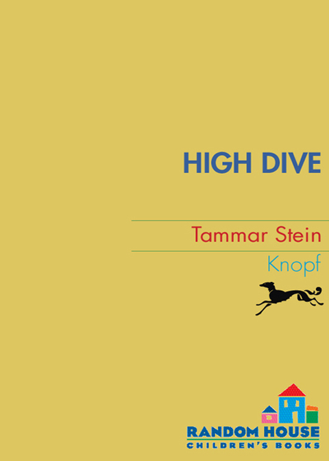 Cover image for book High Dive