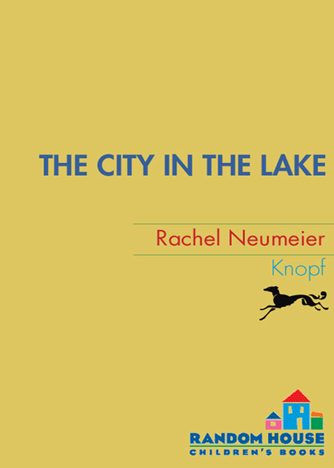 Cover image for book The City in the Lake