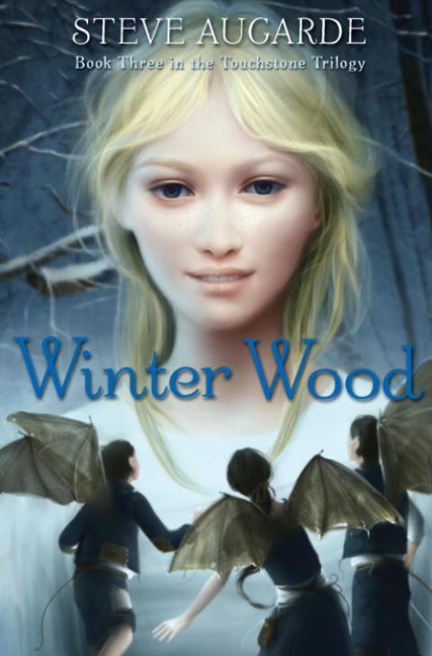 Cover image for book Winter Wood