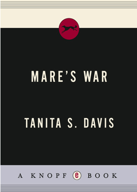 Cover image for book Mare's War
