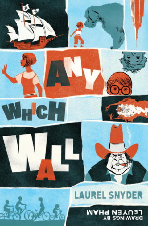 Cover image for book Any Which Wall