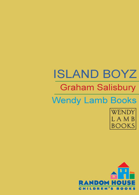 Cover image for book Island Boyz