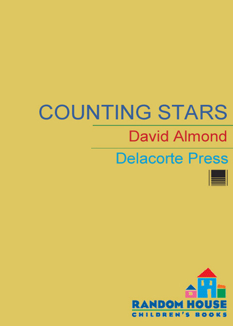 Cover image for book Counting Stars