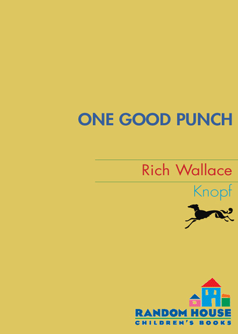 Cover image for book One Good Punch