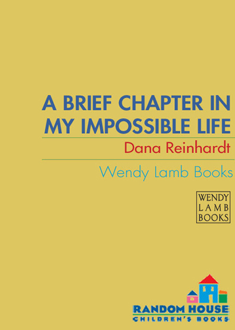 Cover image for book A Brief Chapter in My Impossible Life