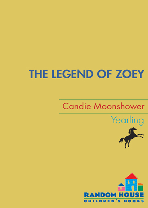 Cover image for book The Legend of Zoey