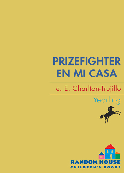 Cover image for book Prizefighter en Mi Casa