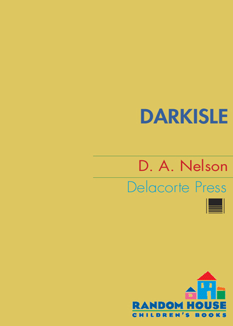 Cover image for book DarkIsle