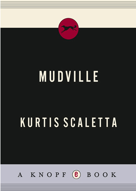 Cover image for book Mudville