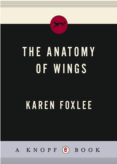 Cover image for book The Anatomy of Wings