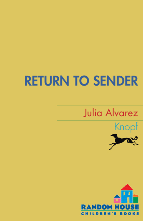 Cover image for book Return to Sender