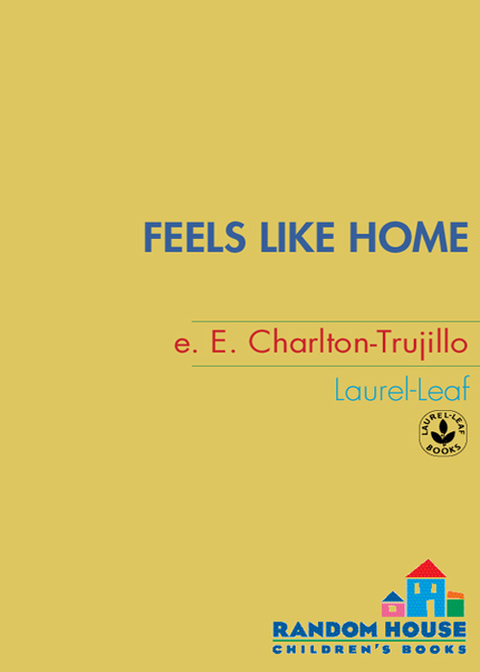 Cover image for book Feels Like Home