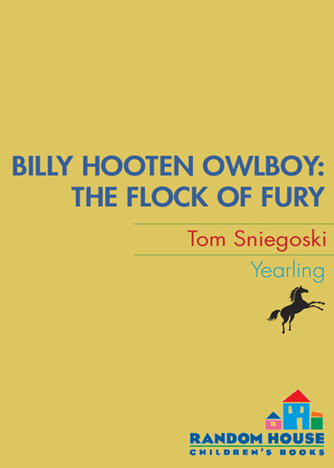 Cover image for book Billy Hooten #4: The Flock of Fury