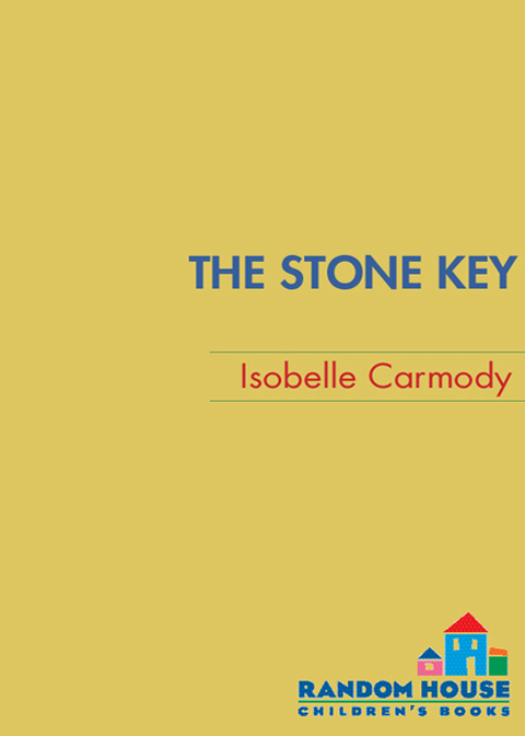 Cover image for book The Stone Key