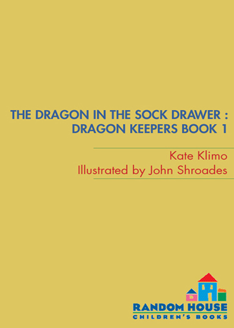 Cover image for book Dragon Keepers #1: The Dragon in the Sock Drawer