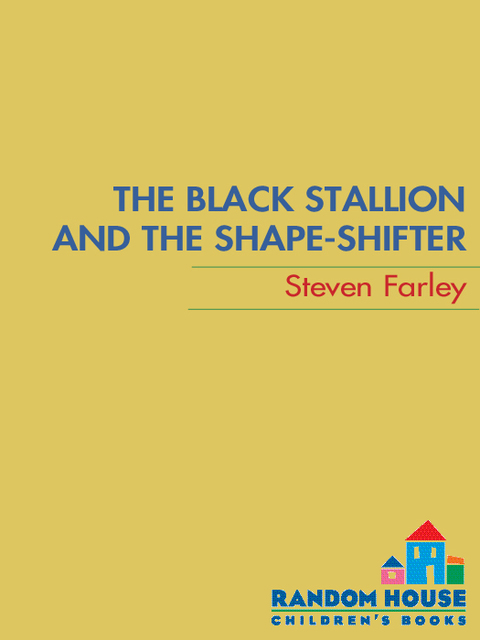 Cover image for book The Black Stallion and the Shape-shifter