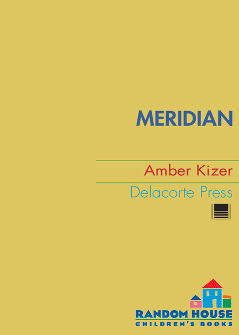 Cover image for book Meridian