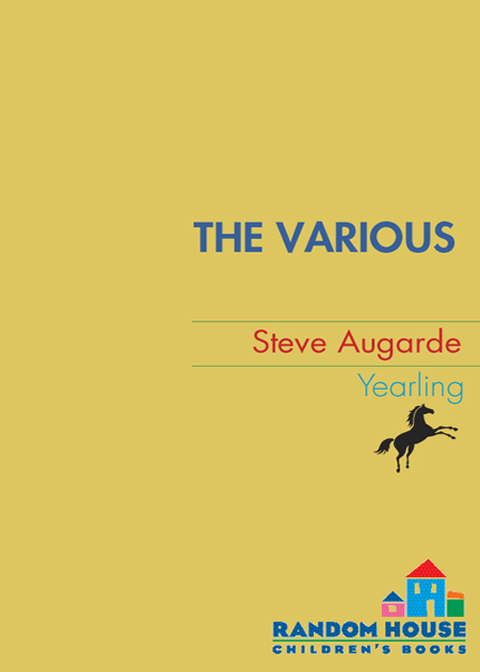 Cover image for book The Various