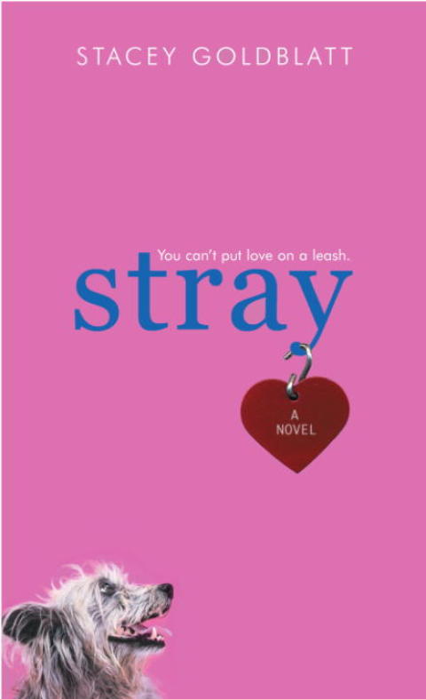 Cover image for book Stray